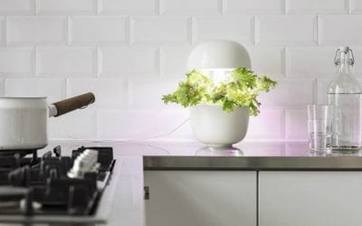 Eco design e illuminazione: 4 lampade per una casa bella e sostenibile